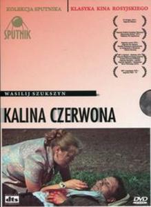 Kalina czerwona