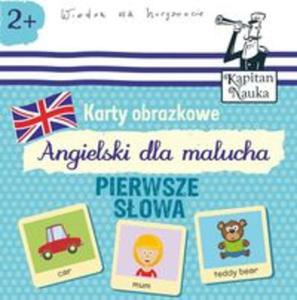 Karty obrazkowe Angielski dla malucha Pierwsze sowa