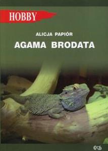 Agama brodata - 2857732212