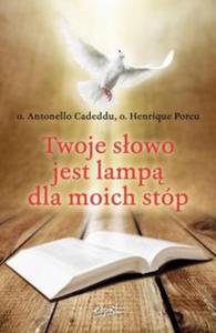 Twoje sowo jest lamp dla moich stp - 2857733632