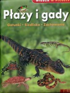 Pazy i gady. Wiedza w piguce - 2857734389