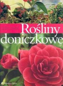 Roliny doniczkowe