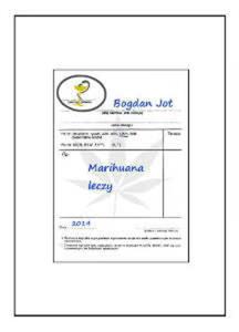 MARIHUANA LECZY BR. MMJ 9788393981007 - 2857735821