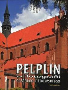 Pelplin w fotografii Cezarego Dbowskiego - 2857736202