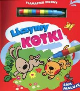 Flamaster wodny. Liczymy kotki - 2857736622