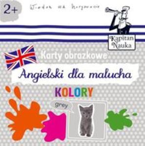 Karty obrazkowe Angielski dla malucha Kolory - 2857738744