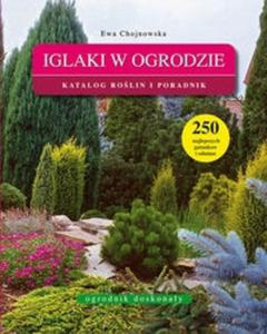 Iglaki w ogrodzie - 2825662933