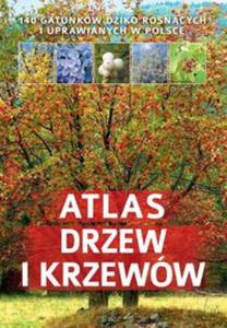 Atlas drzew i krzeww - 2857743593