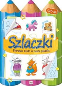 Szlaczki. Pierwsze kroki w nauce pisania - 2857743835