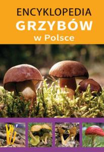 Encyklopedia grzybw w Polsce - 2857744967