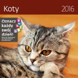 Kalendarz 2016 Koty Helma 30 - 2857747430