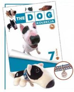 English Bull Terrier - 2857747710