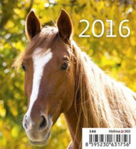 Kalendarz 2016 Konie Mini - 2857747719