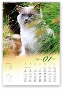 Kalendarz 2016 RW Koty domowe