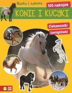 Konie i kucyki Nauka i zabawa - 2857748775