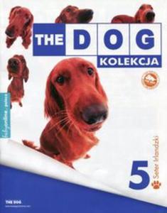 Dog Kolekcja 5 Seter Irlandzki - 2857749114