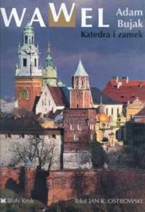 Wawel katedra i zamek - 2825663219