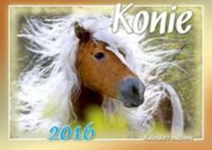 Kalendarz 2016 Konie rodzinny - 2857749652