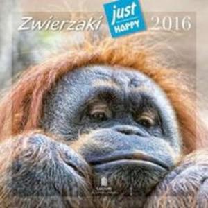 Kalendarz praktyczny 2016 PK 06 Zwierzaki - 2857749846