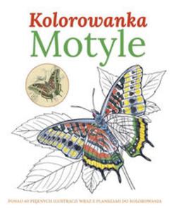 Motyle Kolorowanka - 2857750370