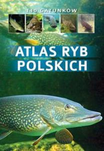 Atlas ryb polskich 140 gatunkw - 2857752191