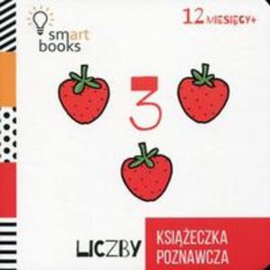 Liczby Ksieczka poznawcza - 2857756873