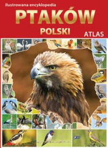 Ilustrowana encyklopedia ptaków Polski. Atlas