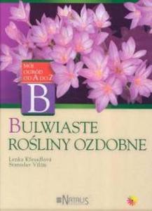 Bulwiaste roliny ozdobne - 2825663637