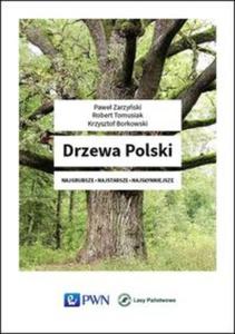 Drzewa Polski - 2857759698