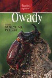 Owady. Spotkania z przyrod - 2857760506