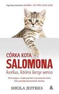 Crka kota Salomona - 2857764389