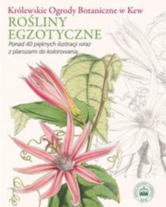 Roliny egzotyczne. Krlewskie Ogrody Botaniczne w Kew - 2857765130