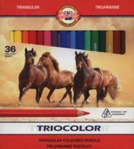 Kredki Triocolor 9mm 36 kolorw - 2857765757