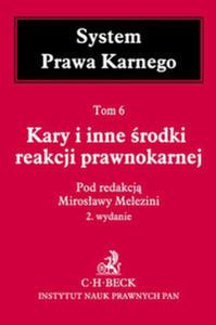 Kary i inne rodki reakcji prawnokarnej System Prawa Karnego Tom 6 - 2857766647