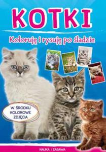 Kotki. Koloruj i rysuj po ladzie - 2857770844