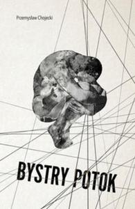 Bystry potok - 2857776834