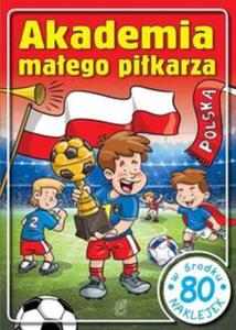 Akademia maego pikarza