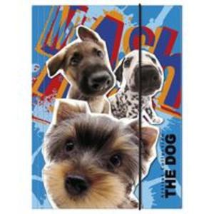 Teczka z gumk A4 The dog - 2857777852