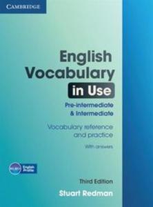 English Vocabulary in Use Pre-intermediate and Intermediate Vocabulary reference and practice - 2857783046