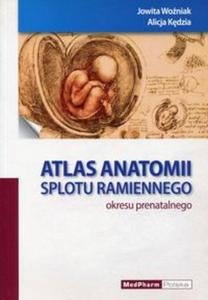 Atlas anatomii splotu ramiennego okresu prenatalnego - 2857784879