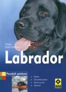 Labrador Poradnik opiekuna - 2825665074