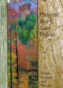 Puszcze bory lasy Polski - 2825665145