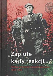 ZAPLUTE KARY REAKCJI POLSKIE PODZIEMIE NIEPODLEGOCIOWE 1944-1956 OP. IPN - 2857790008