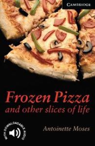 Frozen Pizza and Other Slices of Life - 2857792262