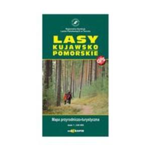 Lasy Kujawsko Pomorskie 1:250 000 - 2857792808