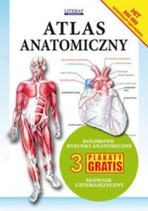 Atlas anatomiczny - 2857793333