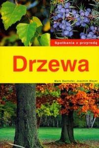 Drzewa - 2825665614