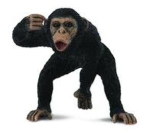 Szympans samiec M - 2857796809