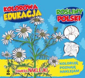 Kolorowa edukacja. Roliny Polski - 2857796977