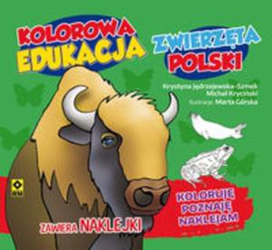 Kolorowa edukacja Zwierzta Polski - naklejka - 2857796978